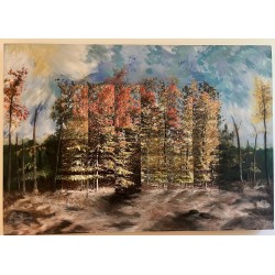 Unknown by Alan Sonfist